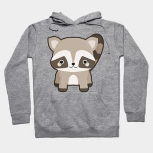 Kawaii Raccoon Hoodie